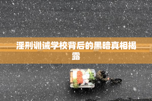 淫刑训诫学校背后的黑暗真相揭露
