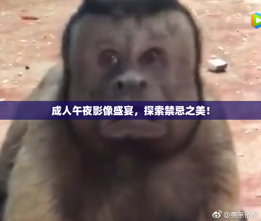 成人午夜影像盛宴，探索禁忌之美！