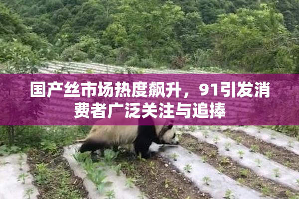国产丝市场热度飙升，91引发消费者广泛关注与追捧