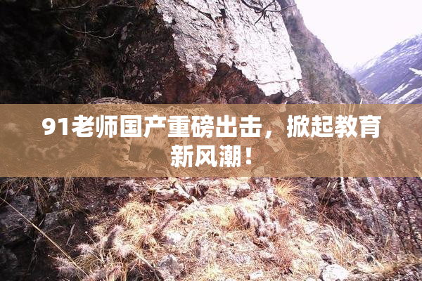 91老师国产重磅出击，掀起教育新风潮！