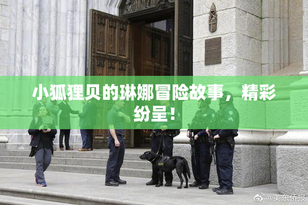 小狐狸贝的琳娜冒险故事，精彩纷呈！