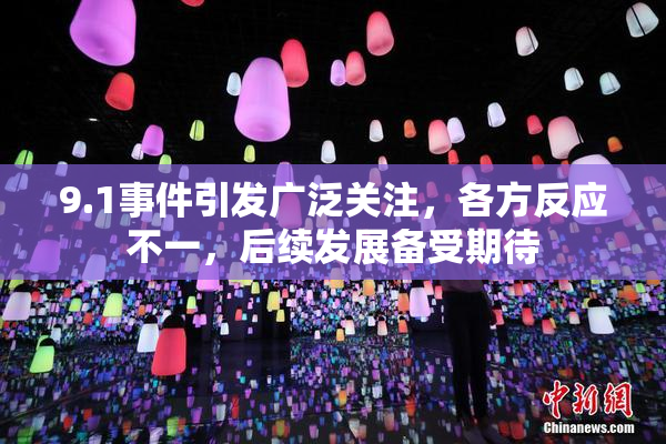 9.1事件引发广泛关注，各方反应不一，后续发展备受期待