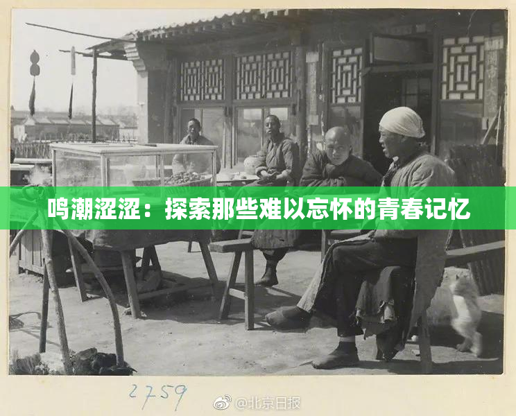 鸣潮涩涩：探索那些难以忘怀的青春记忆