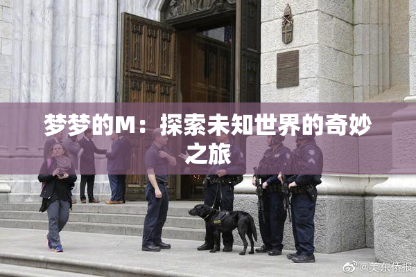 梦梦的M：探索未知世界的奇妙之旅