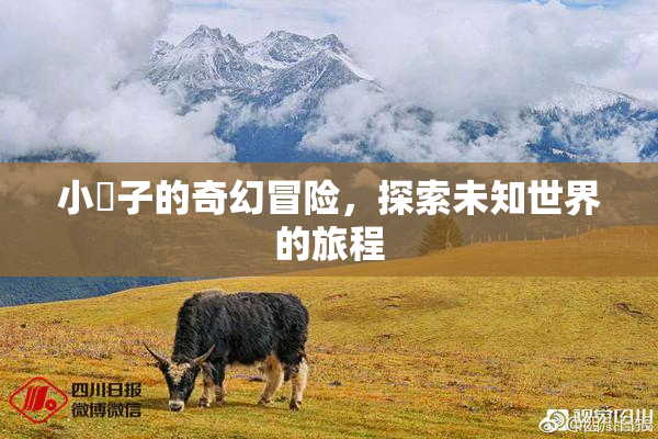 小峓子的奇幻冒险，探索未知世界的旅程