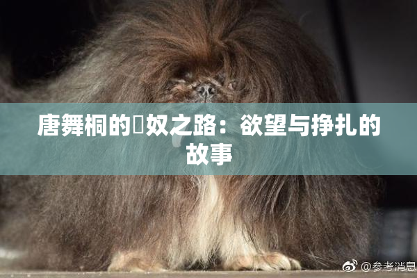 唐舞桐的婬奴之路：欲望与挣扎的故事