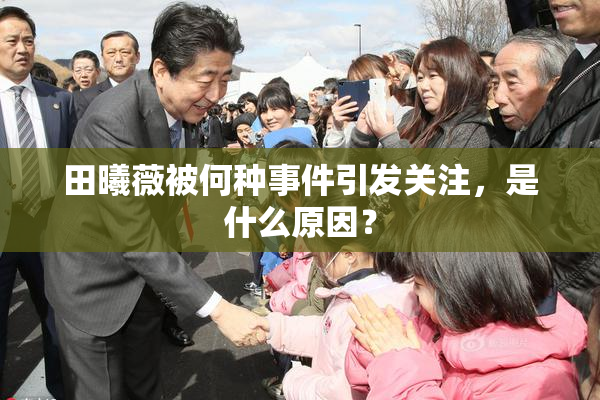 田曦薇被何种事件引发关注，是什么原因？