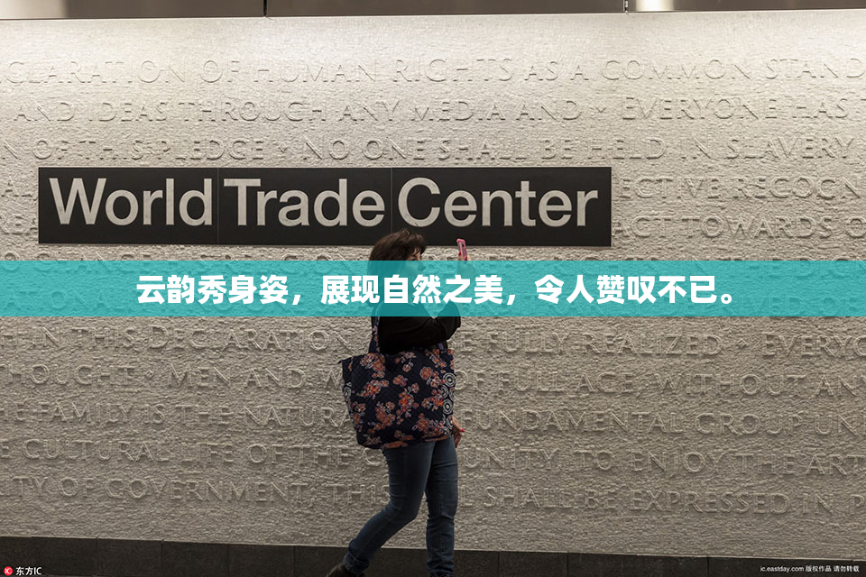 云韵秀身姿，展现自然之美，令人赞叹不已。