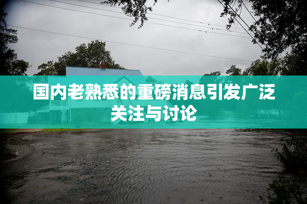 国内老熟悉的重磅消息引发广泛关注与讨论