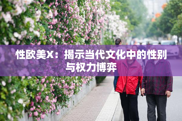 性欧美X：揭示当代文化中的性别与权力博弈