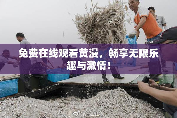 免费在线观看黄漫，畅享无限乐趣与激情！