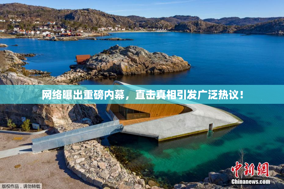 网络曝出重磅内幕，直击真相引发广泛热议！