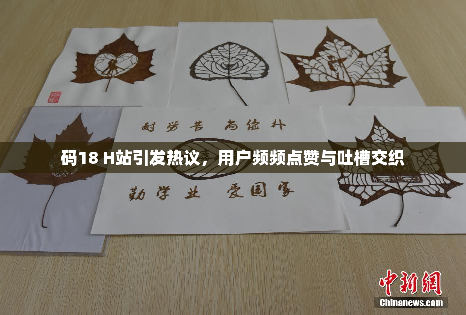 码18 H站引发热议，用户频频点赞与吐槽交织