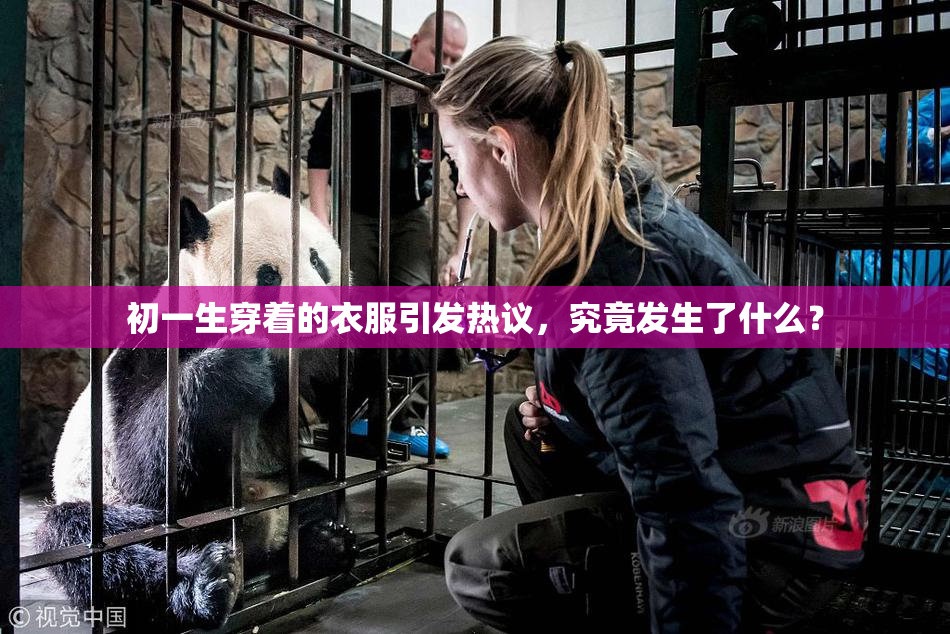 初一生穿着的衣服引发热议，究竟发生了什么？