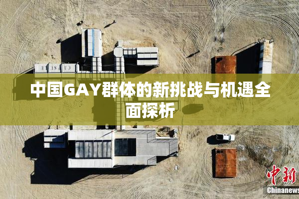 中国GAY群体的新挑战与机遇全面探析