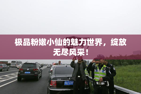极品粉嫩小仙的魅力世界，绽放无尽风采！