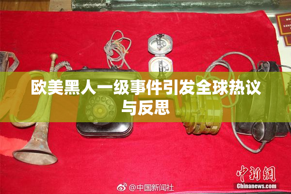 欧美黑人一级事件引发全球热议与反思