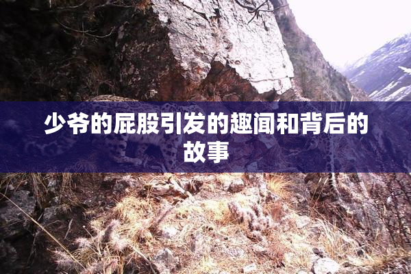 少爷的屁股引发的趣闻和背后的故事