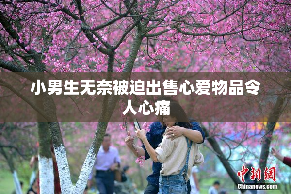小男生无奈被迫出售心爱物品令人心痛