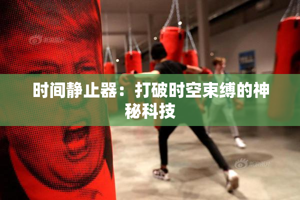时间静止器：打破时空束缚的神秘科技