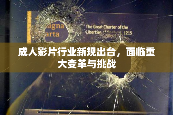 成人影片行业新规出台，面临重大变革与挑战