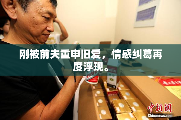 刚被前夫重申旧爱，情感纠葛再度浮现。