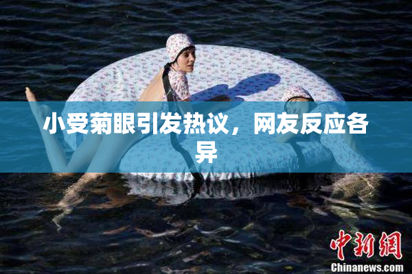 小受菊眼引发热议，网友反应各异