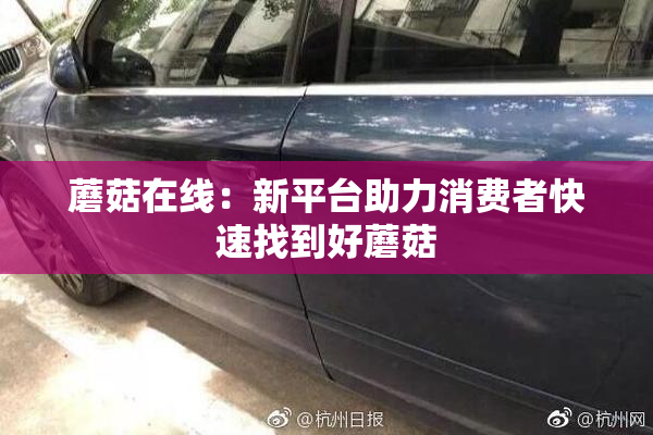 蘑菇在线：新平台助力消费者快速找到好蘑菇