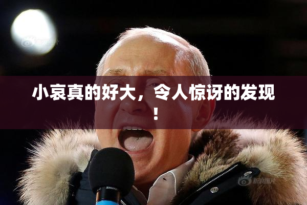 小哀真的好大，令人惊讶的发现！