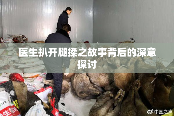 医生扒开腿揉之故事背后的深意探讨
