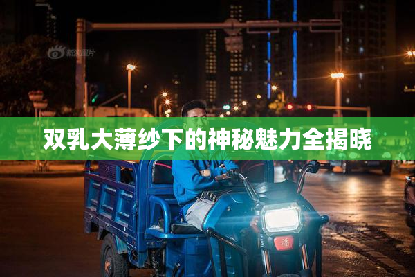 双乳大薄纱下的神秘魅力全揭晓