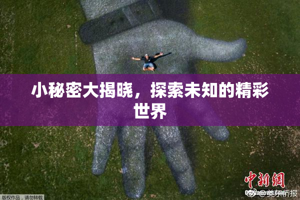 小秘密大揭晓，探索未知的精彩世界