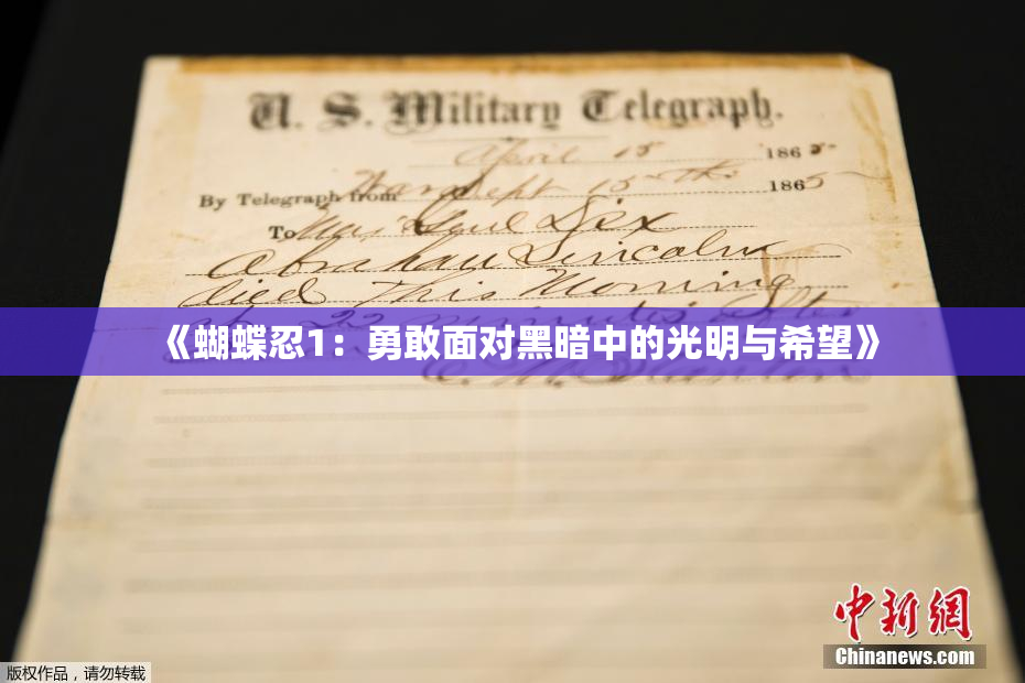 《蝴蝶忍1：勇敢面对黑暗中的光明与希望》