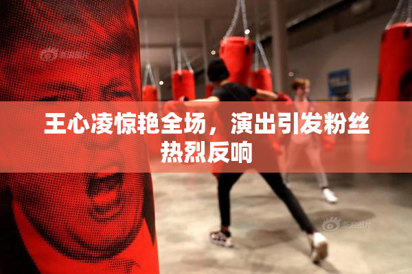 王心凌惊艳全场，演出引发粉丝热烈反响