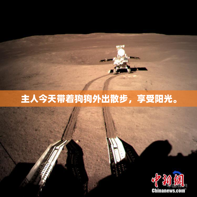 主人今天带着狗狗外出散步，享受阳光。