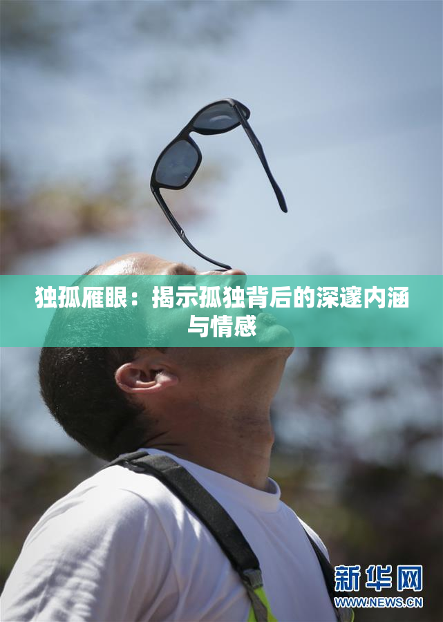独孤雁眼：揭示孤独背后的深邃内涵与情感