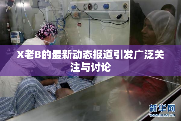X老B的最新动态报道引发广泛关注与讨论