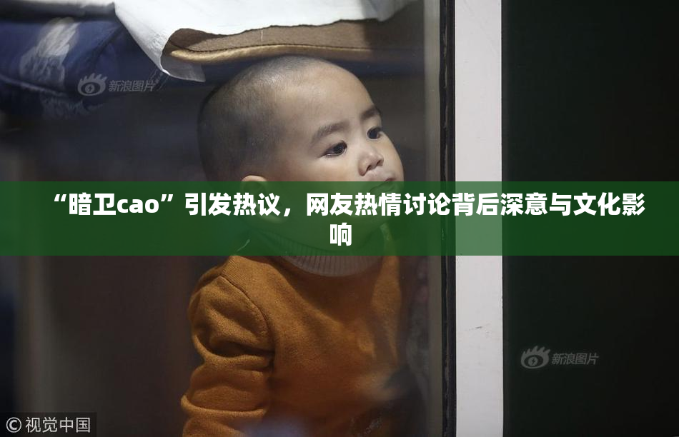 “暗卫cao”引发热议，网友热情讨论背后深意与文化影响