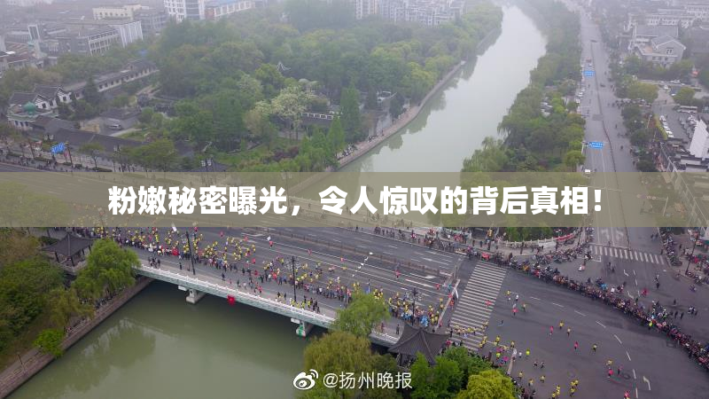 粉嫩秘密曝光，令人惊叹的背后真相！