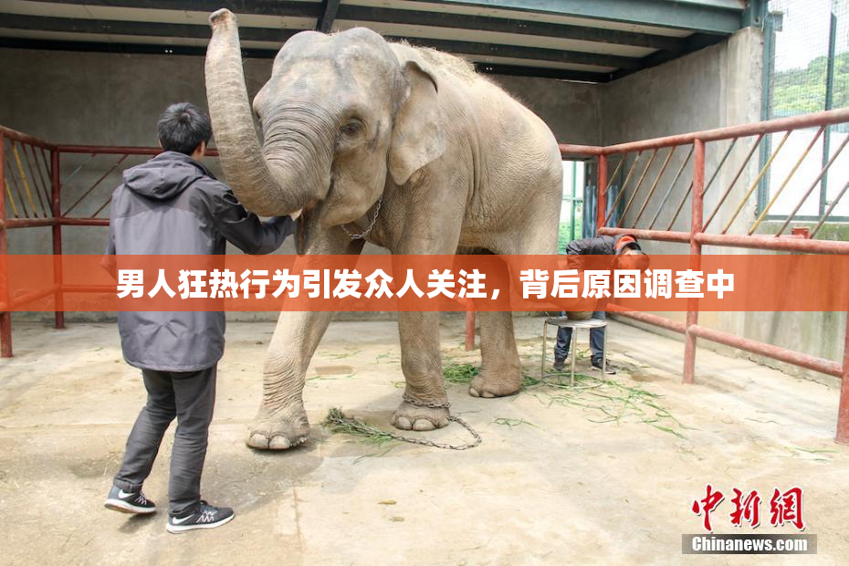 男人狂热行为引发众人关注，背后原因调查中