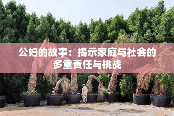 公妇的故事：揭示家庭与社会的多重责任与挑战