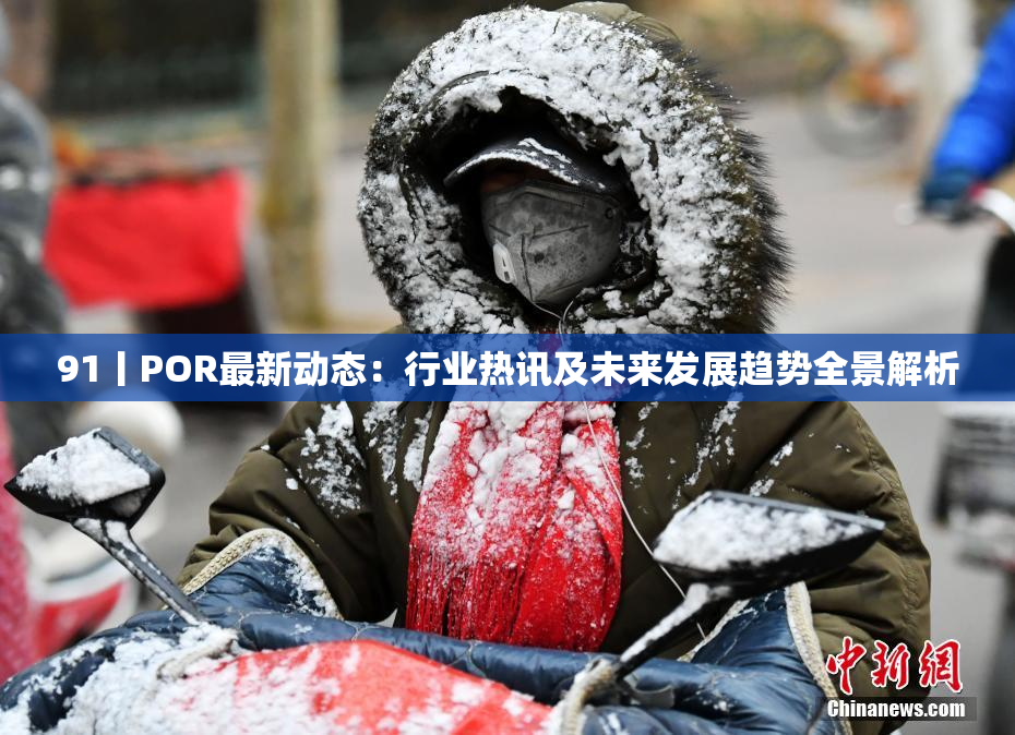 91丨POR最新动态：行业热讯及未来发展趋势全景解析