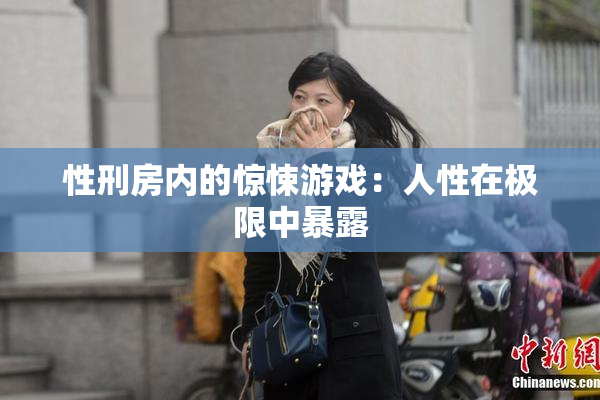 性刑房内的惊悚游戏：人性在极限中暴露
