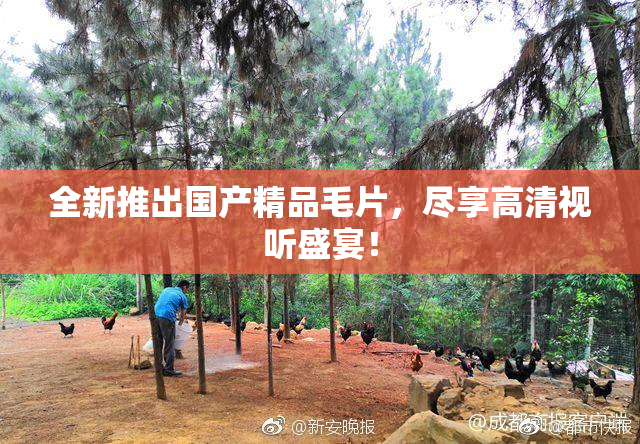 全新推出国产精品毛片，尽享高清视听盛宴！