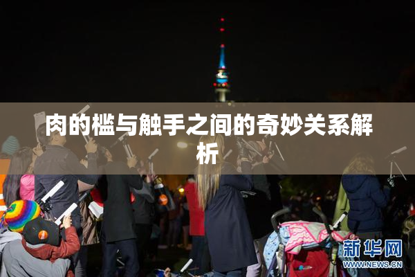 肉的槛与触手之间的奇妙关系解析