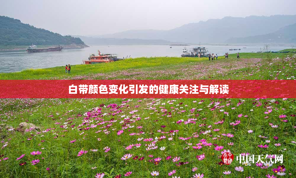 白带颜色变化引发的健康关注与解读
