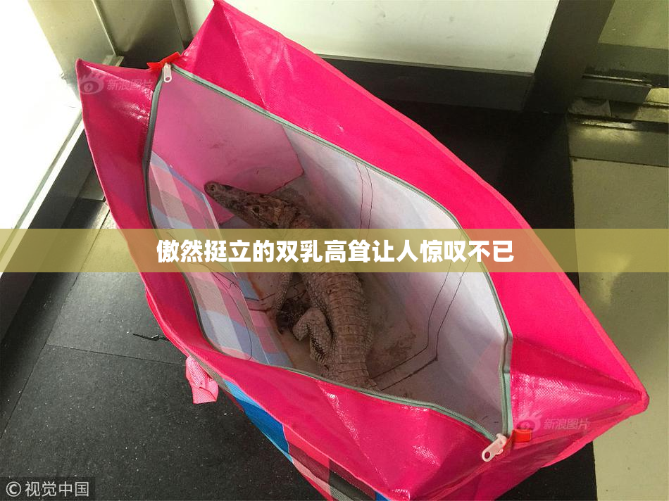 傲然挺立的双乳高耸让人惊叹不已