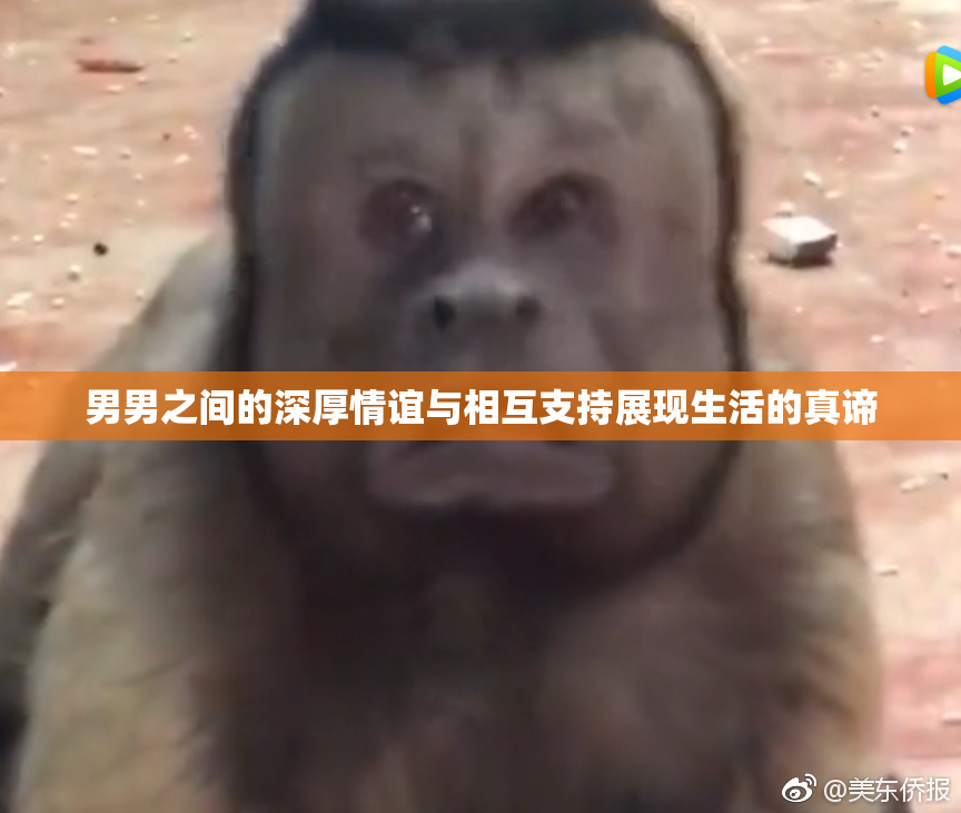 男男之间的深厚情谊与相互支持展现生活的真谛