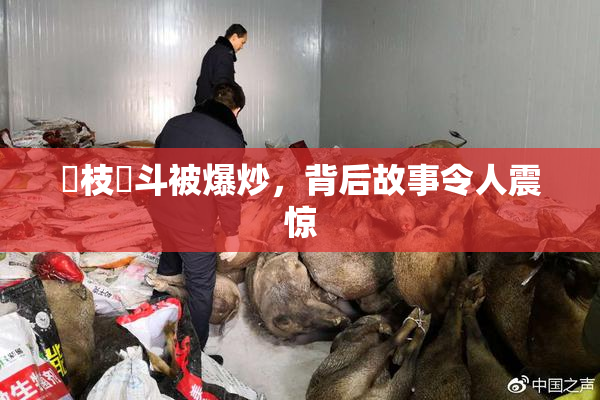 狛枝凪斗被爆炒，背后故事令人震惊