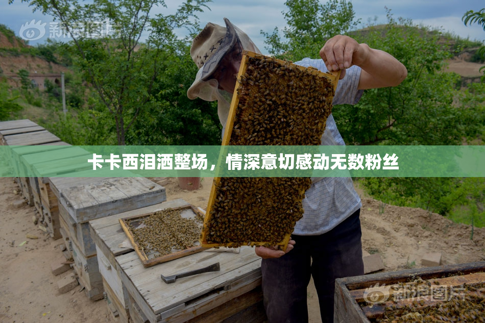 卡卡西泪洒整场，情深意切感动无数粉丝